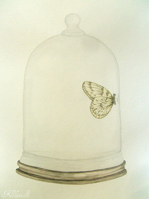 art-bell-jar-butterfly-drawing-illustration-Favim.com-134637